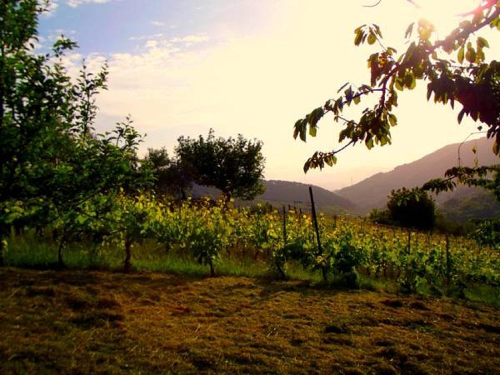 Agriturismo Brasino Fosdinovo Habitación foto